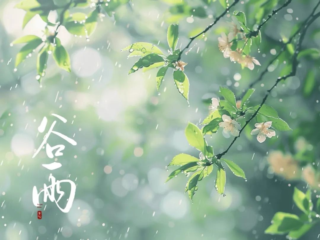 谷雨潤萬(wàn)物，酥香寄深情